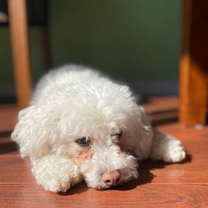 Meet your Posher, Eilidh